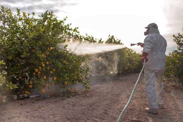 Pest Prevention Services in Mckenzie, TN