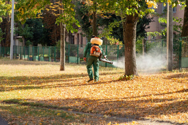 Best Cockroach Control Services  in Mckenzie, TN